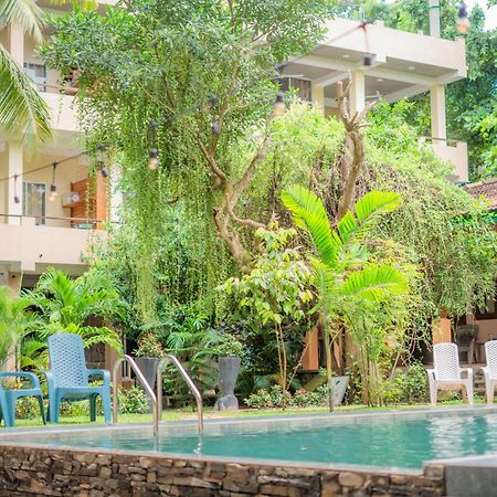 Monkey Villa Хіккадува Екстер'єр фото