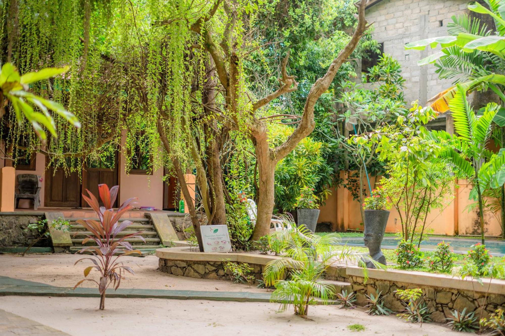 Monkey Villa Хіккадува Екстер'єр фото