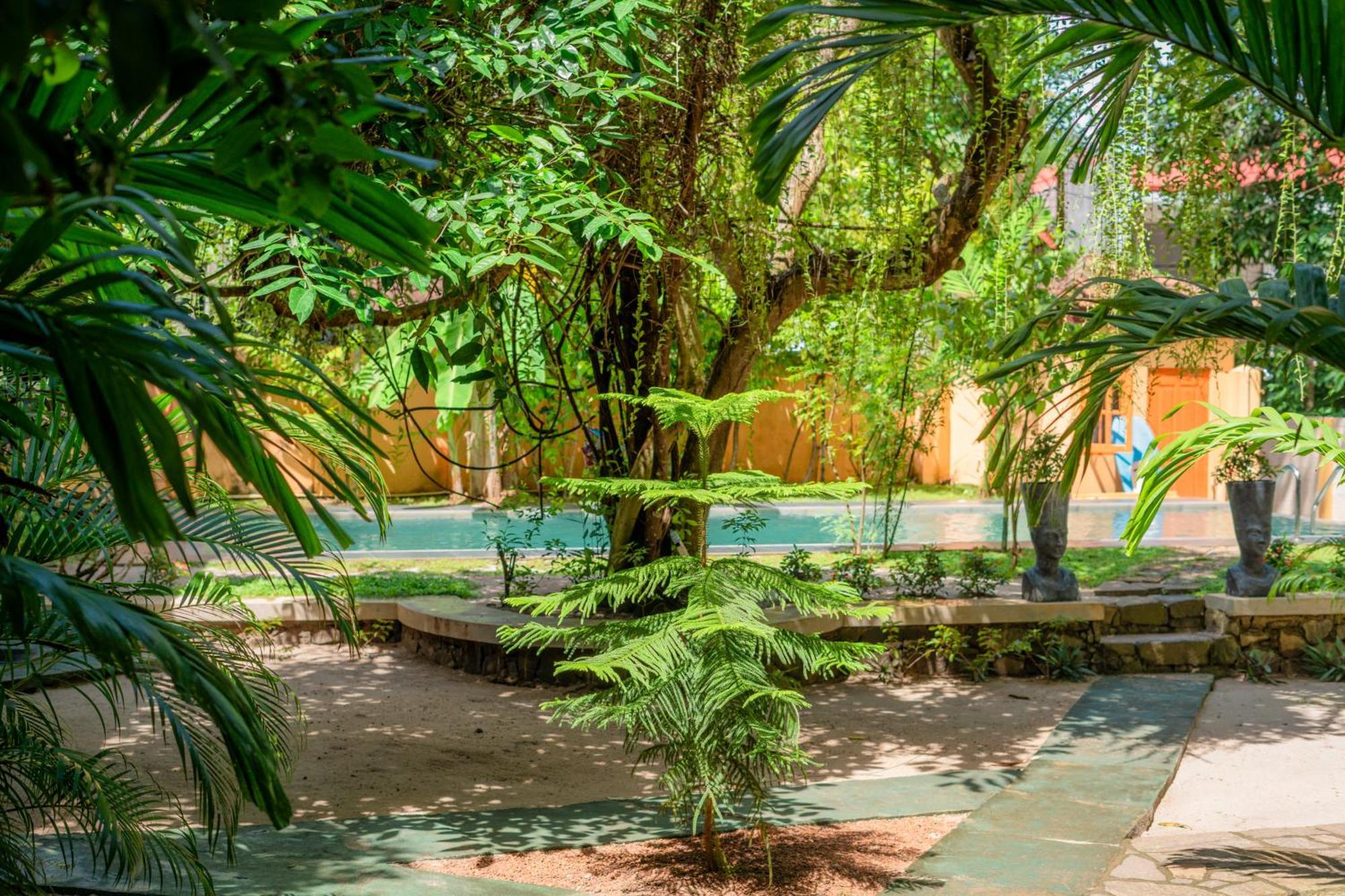 Monkey Villa Хіккадува Екстер'єр фото
