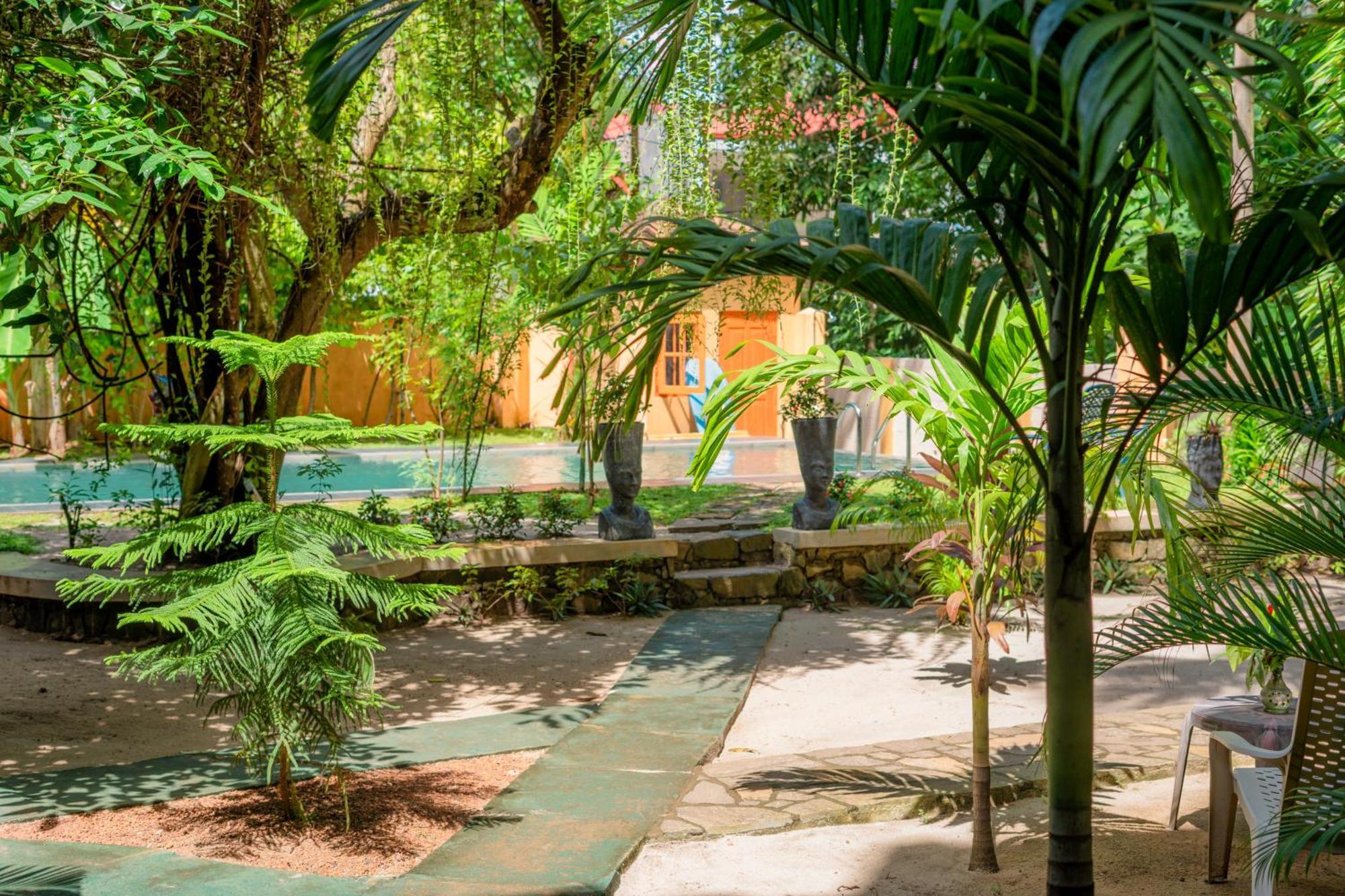 Monkey Villa Хіккадува Екстер'єр фото