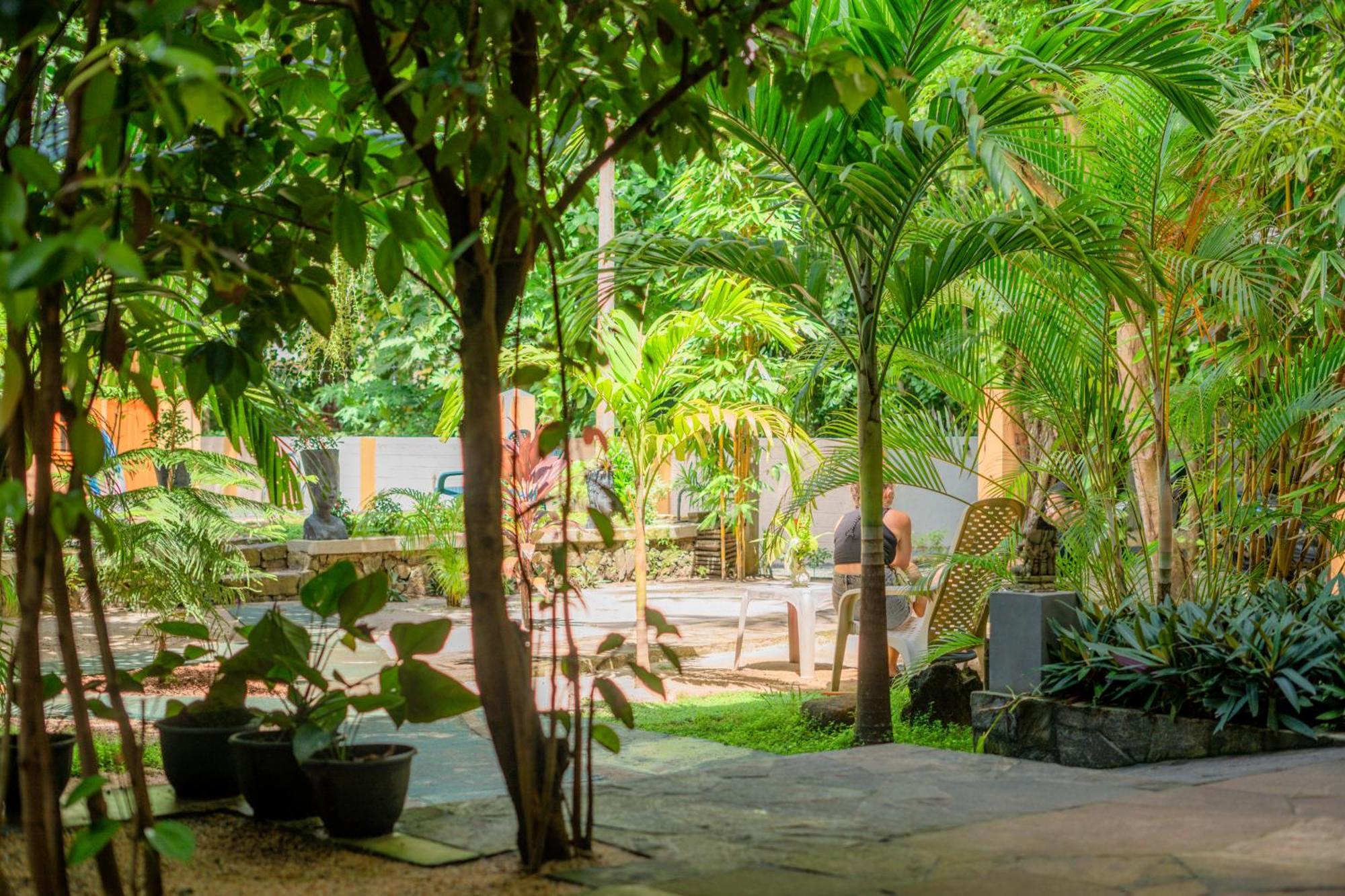 Monkey Villa Хіккадува Екстер'єр фото