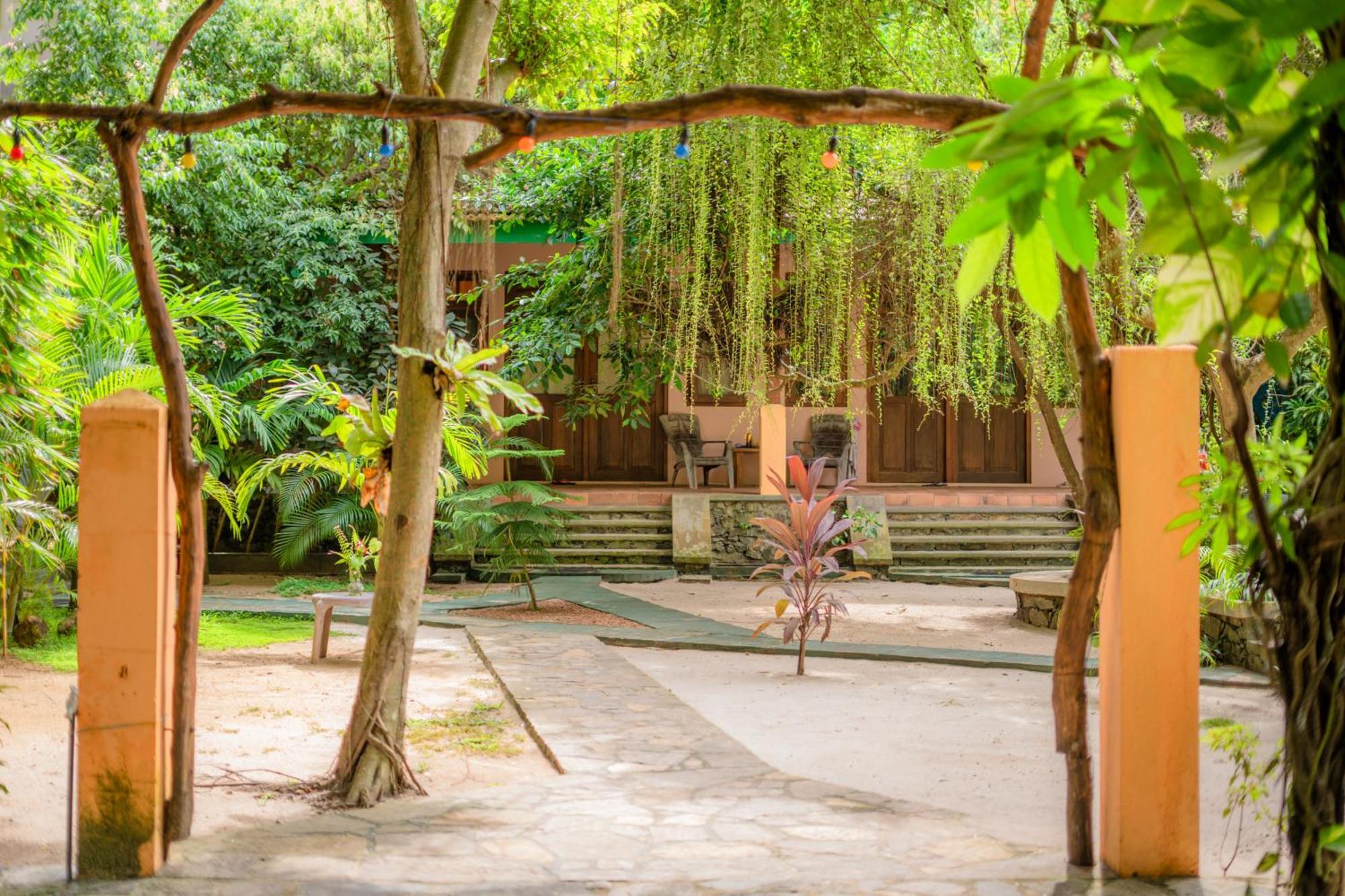 Monkey Villa Хіккадува Екстер'єр фото
